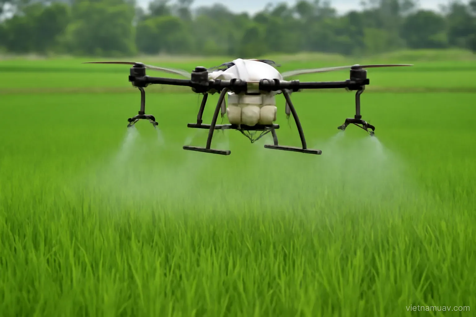 Spraying drone low over a paddy field