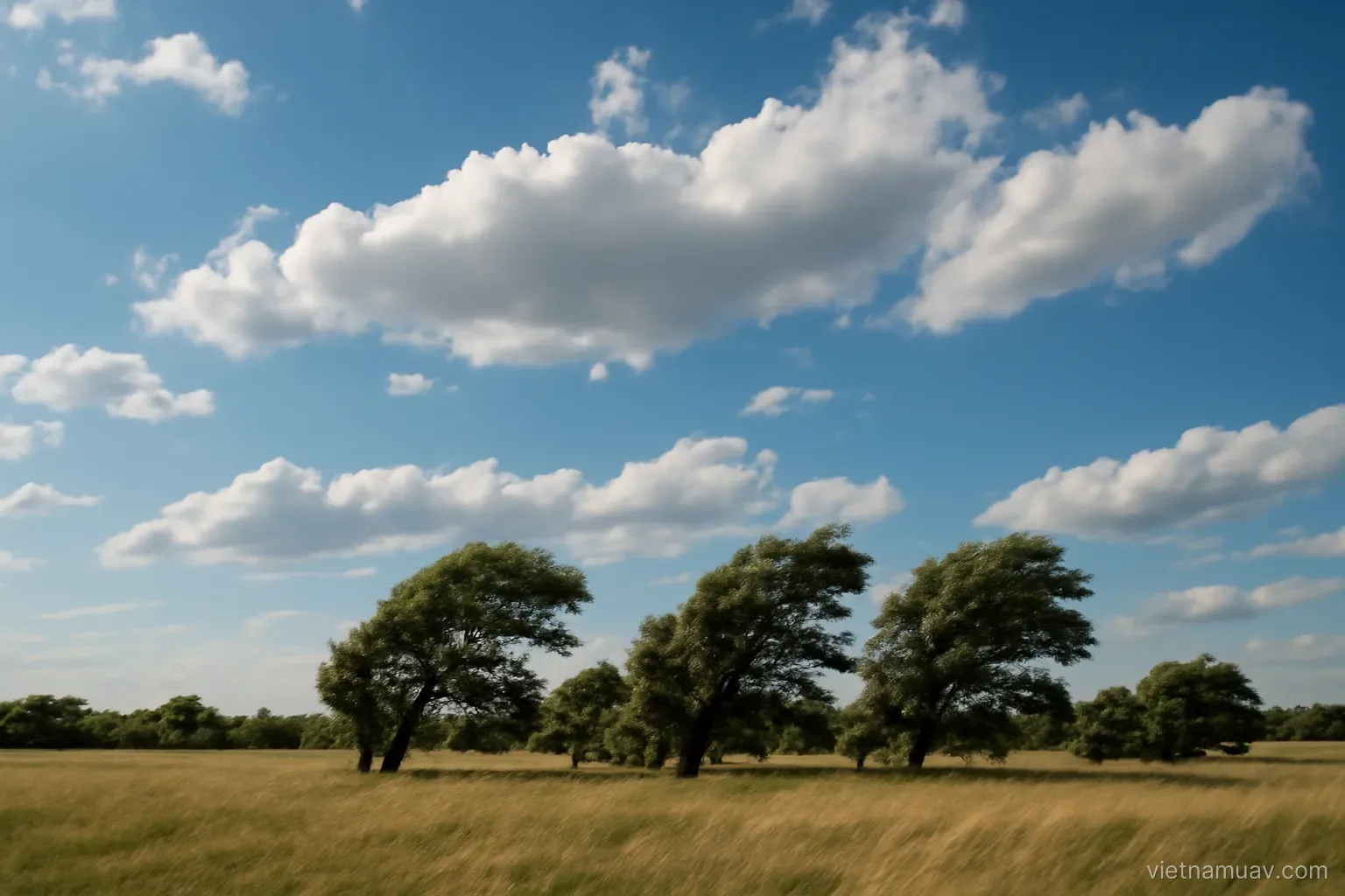 Sky with scattered cloud and wind-bent trees